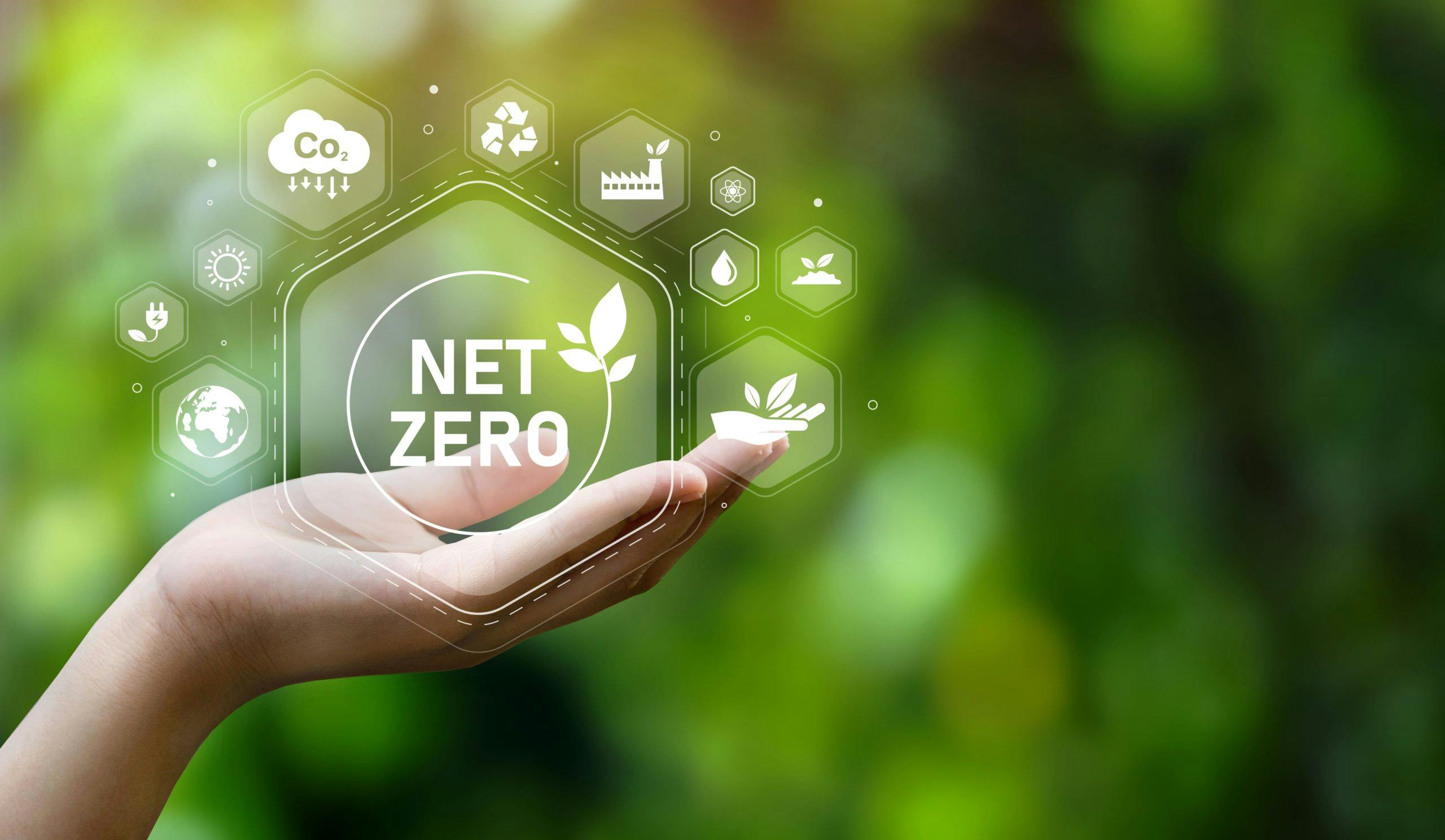 The,Concept,Of,Carbon,Neutral,And,Net,Zero.,Natural,Environment